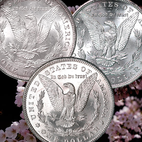 1878 Morgan Dollar Varieties – Dave's Collectible Coins ...